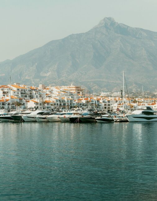 Barnes-International-Domus-Nova-Costa-del-Sol-luxury-homes