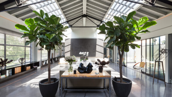 For Rent: The Talisman Building Chelsea SW6 converted warehouse apartment with glass roof and wooden beams