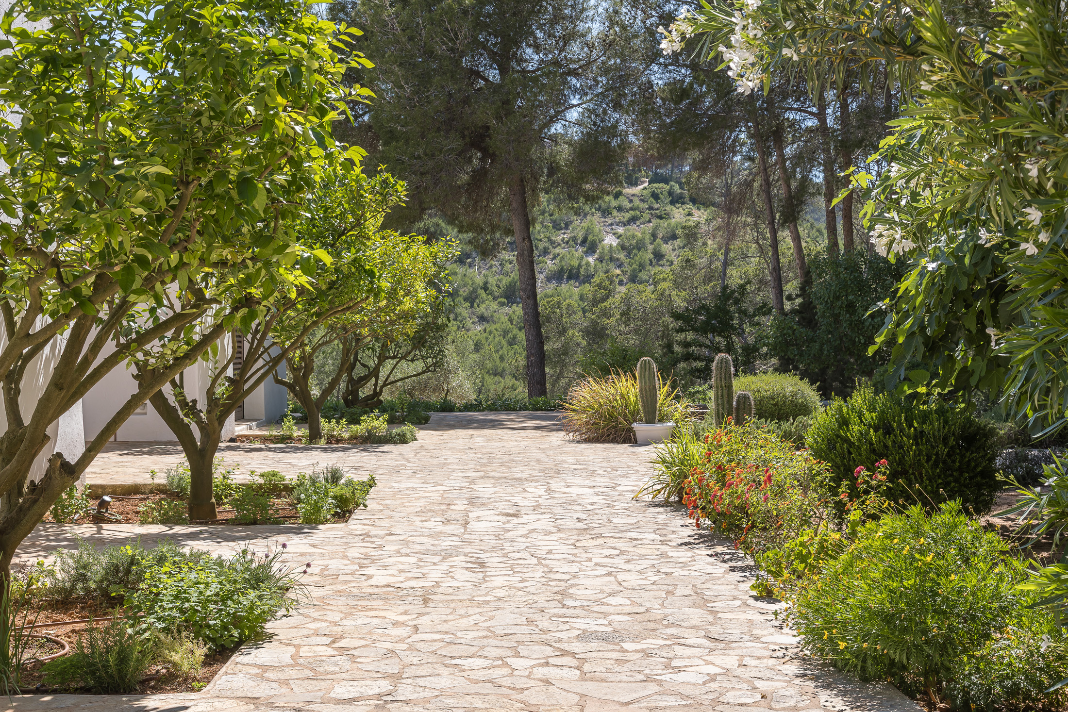 Domus-Nova-Ibiza-Luxury-Rental-Villa-San-Miguel-LR (61)