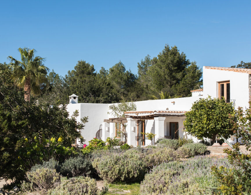 House of Ibiza Living